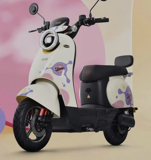 3款高品質電動車亮相,拒絕花里胡哨配置,主打實用性,2100起 鉛酸 電機 續(xù)航 鋰電池 安全性能 網易訂閱